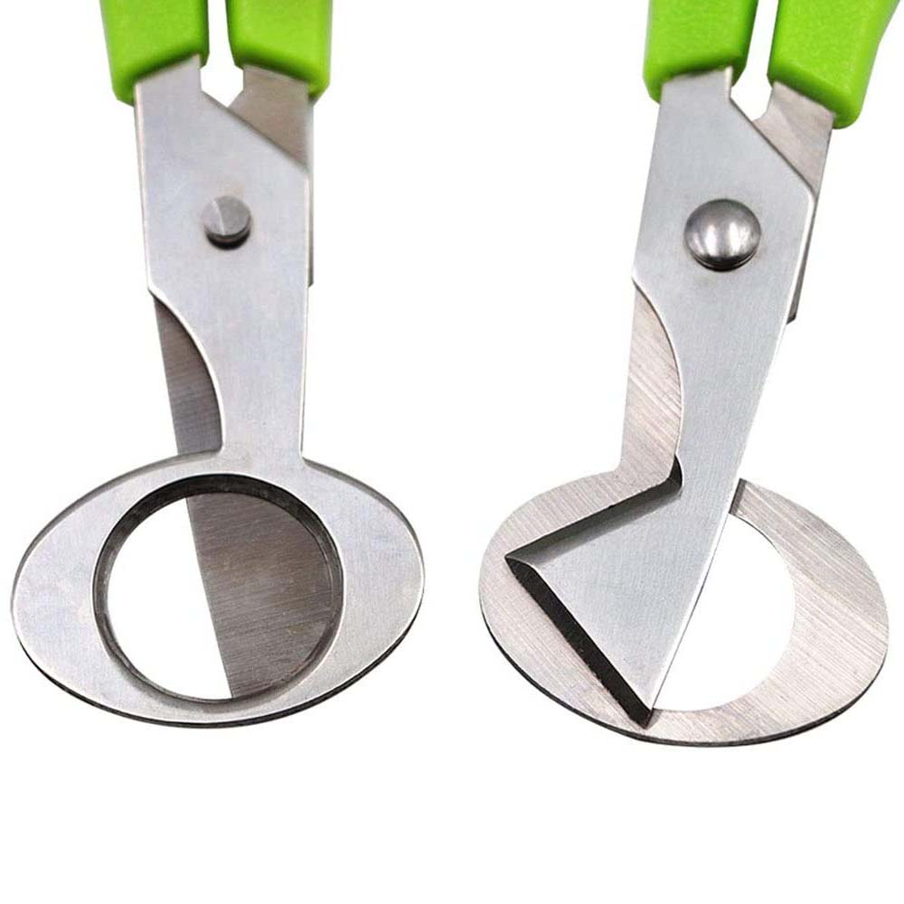 3 ชิ้นนกกระทาตัดไข่กรรไกรครัวไ - Kitchen Shears In Baking บทวิจารณ์และราคา